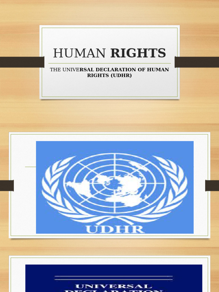 Overview of the Universal Declaration of Human Rights | PDF | Human ...