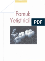 Pamuk Yetiştiriciliği