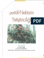 Şeftali-Nektarin Yetiştiriciliği