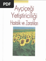 Ayçiçeği Yetiştiriciliği, Hastalıkları ve Zararlıları (www.etarim.net)