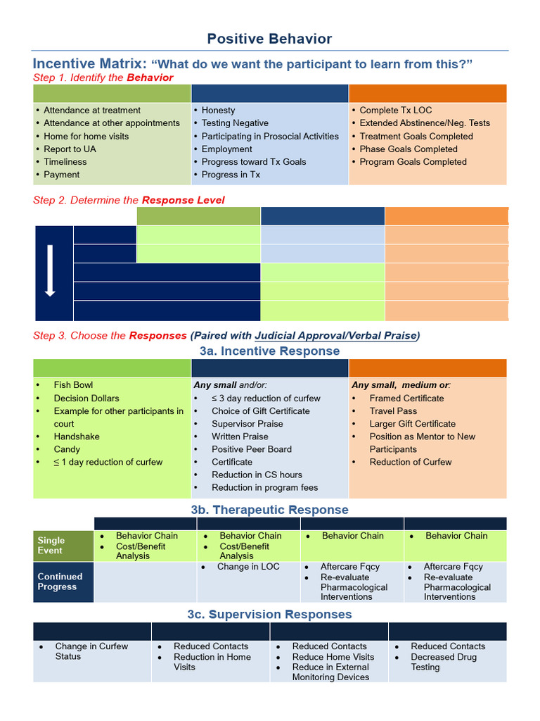 Behavior Incentive and Sanction Matrix | PDF
