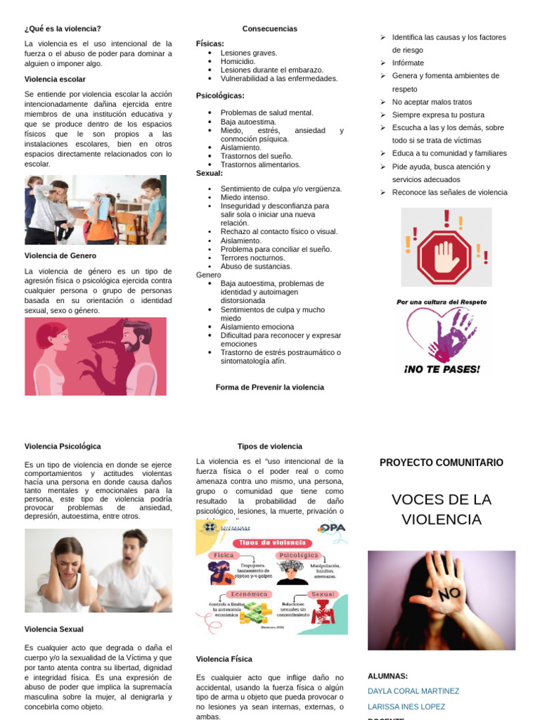 Tipos y Consecuencias de la Violencia | PDF | Violencia | Trastorno mental