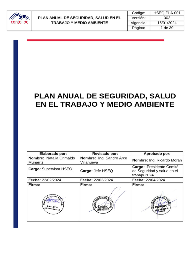 Plan Anual de Seguridad y Salud 2024 | PDF | Business | Valores