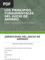 Pruebas en el Juicio de Amparo Indirecto | PDF | Jurisdicción ...