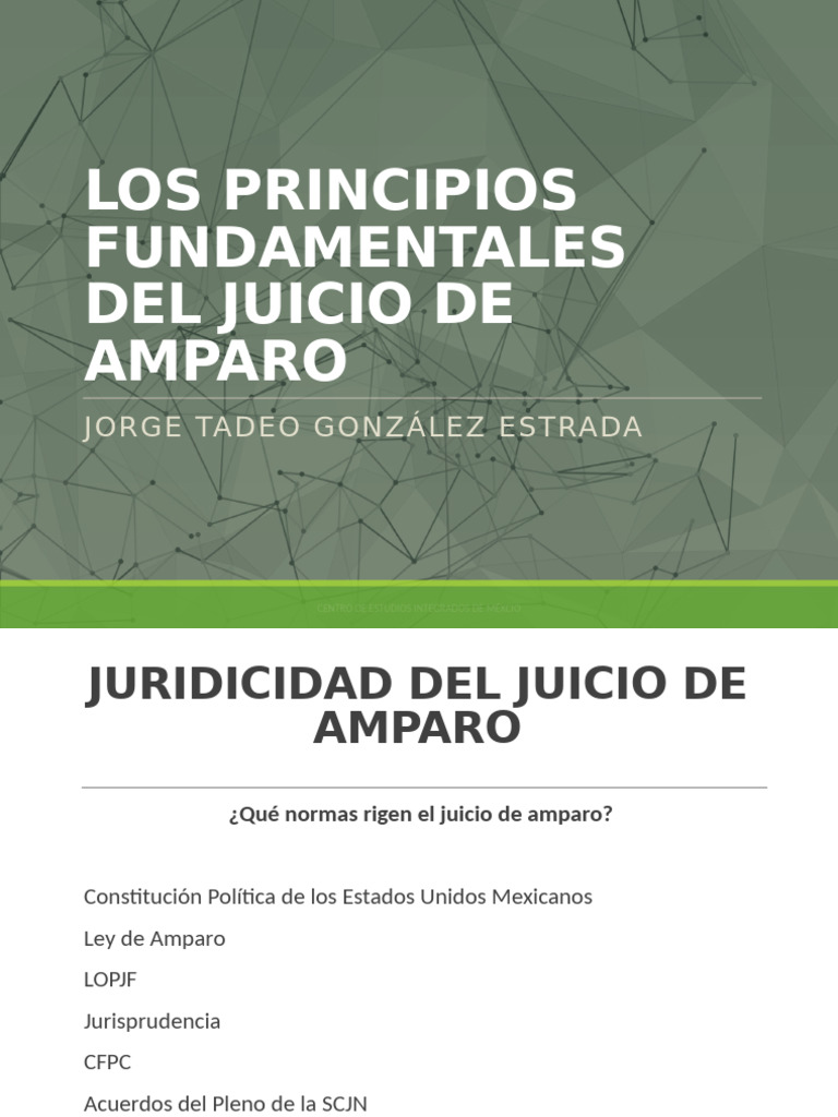 Los Principios Del Juicio de Amparo | PDF | Caso de ley | Judicaturas