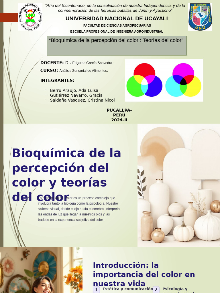 Bioquímica y teorías del color | PDF | Percepción visual | Color