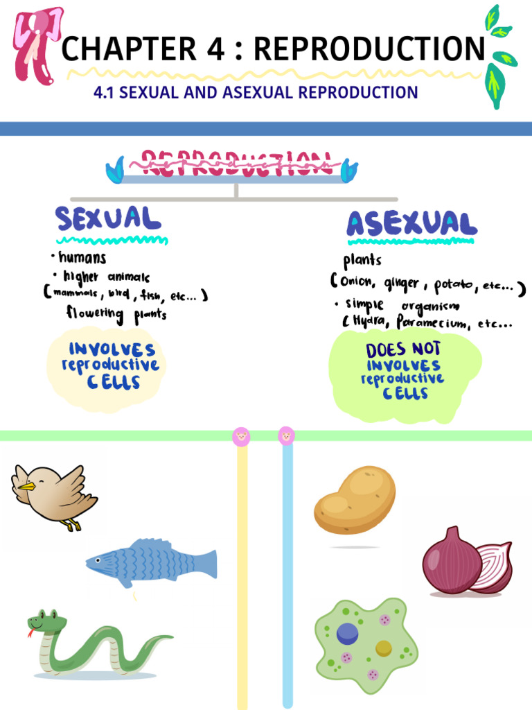 understanding-human-reproduction-pdf
