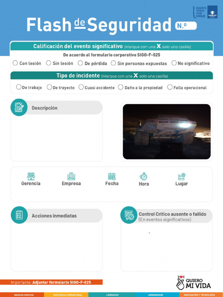 Flash de Seguridad #44 | PDF