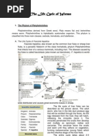 Download The Life Cycle of Worms by Nikko Adhitama SN7978301 doc pdf