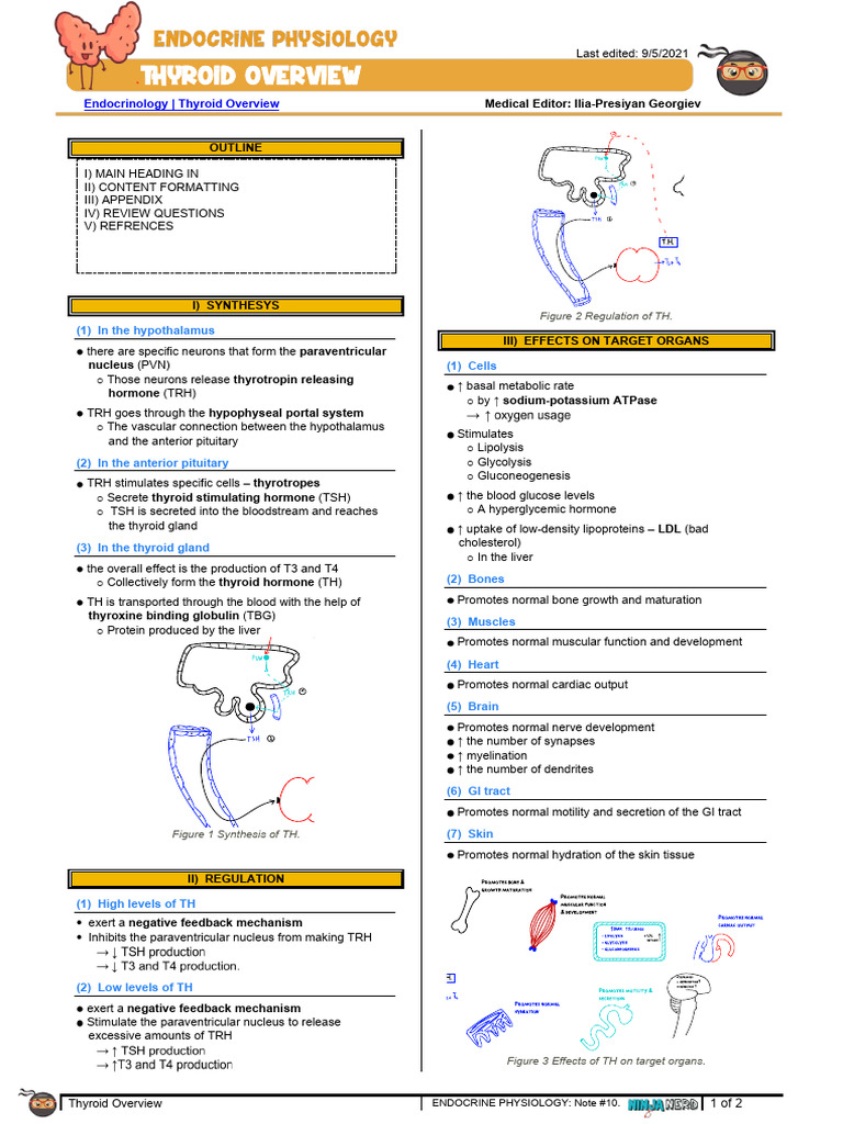 046 Endocrinology Physiology Thyroid Overview Pdf Thyroid