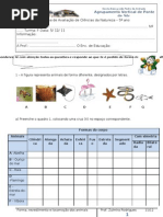 2ºteste - formas  revestimento e locomoção 5ºF 11-12