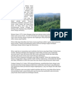 Pengertian Hutan Atau Definisi Hutan Yang Diberikan Dengler Adalah Suatu Kumpulan Atau Asosiasi Pohon