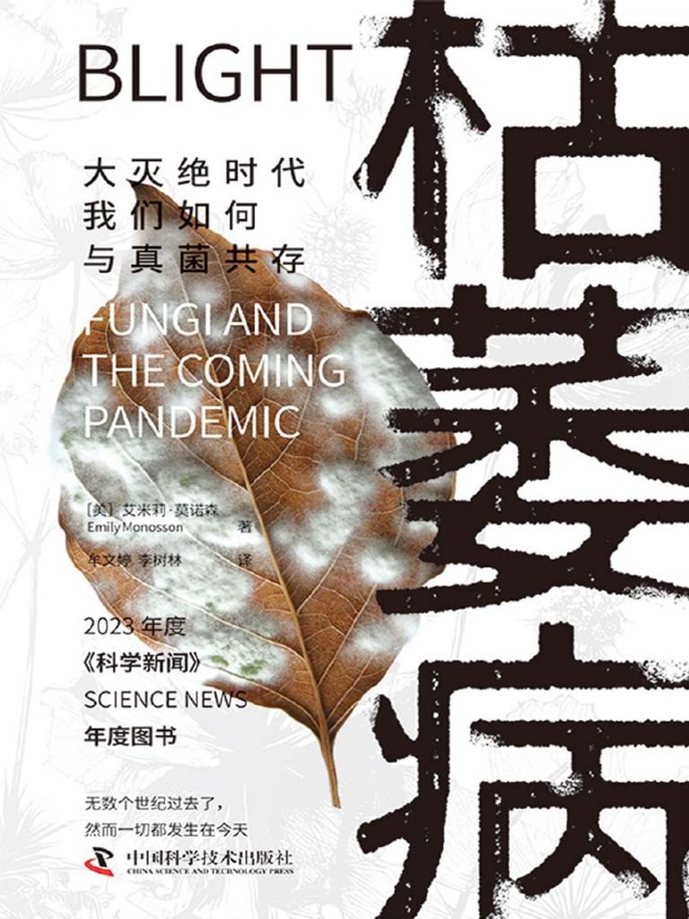 足球) 传奇之路(上) | PDF, image size:768x1024