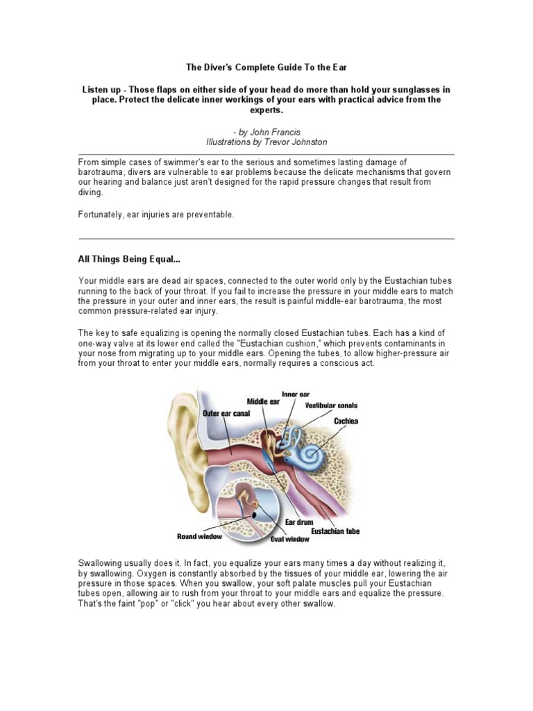 Divers Guide to Ears Ear Scuba Diving