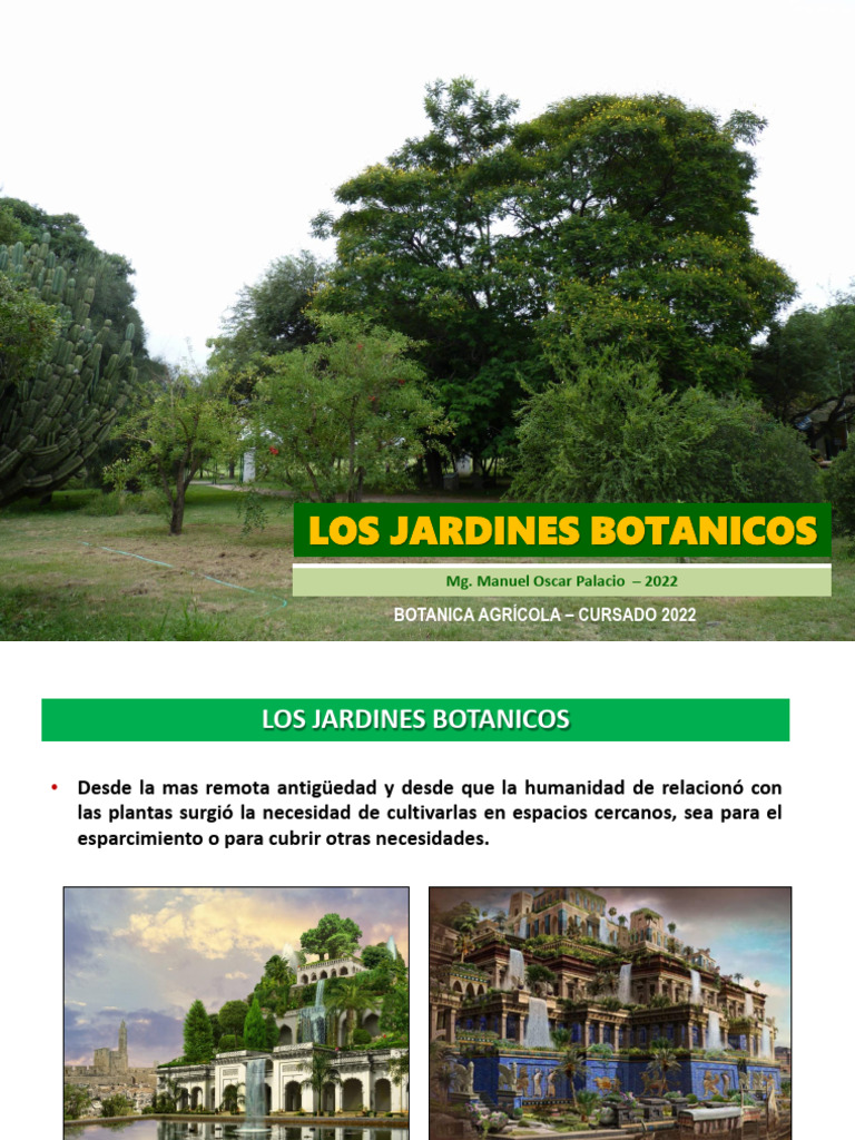 Historia y Función de Jardines Botánicos | PDF | Botánica | Jardines