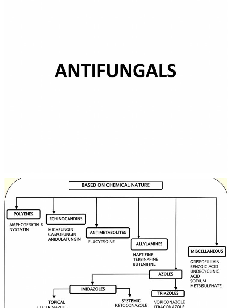 Antifungal Easy Notes | PDF