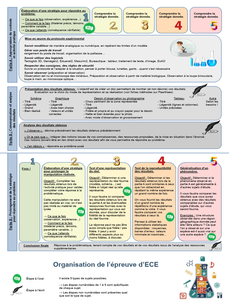 Stratégies d'expérimentation et analyse des résultats | PDF | Dessin ...