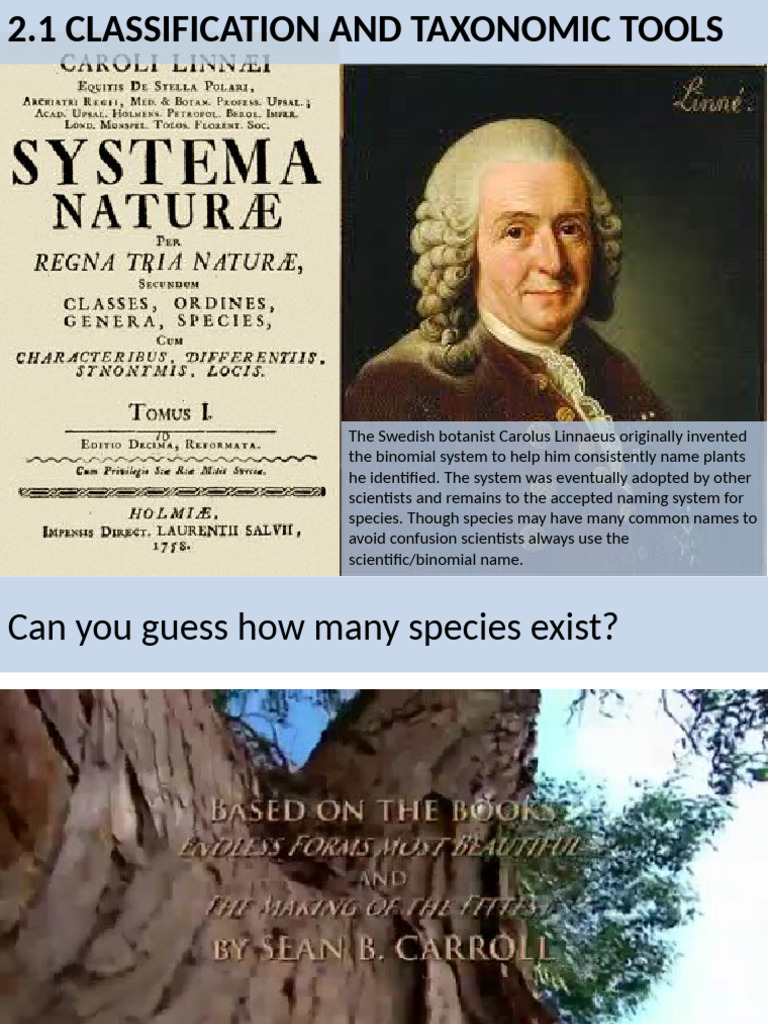 Lesson 2 Classification and Taxonomic Tools | PDF | Species | Taxonomy ...