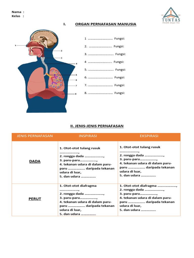 Pernafasan 1 | PDF