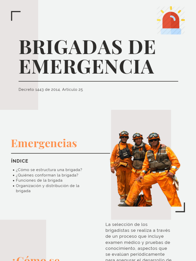Brigadas de Emergencia: Estructura y Funciones | PDF | Primeros auxilios