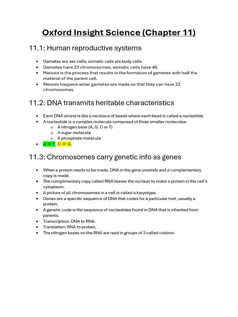 Year 10 Human Genetics Overview | PDF | Dominance (Genetics) | Dna
