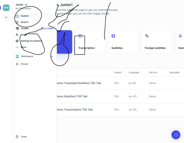 Happy Scribe Workspace Overview | PDF