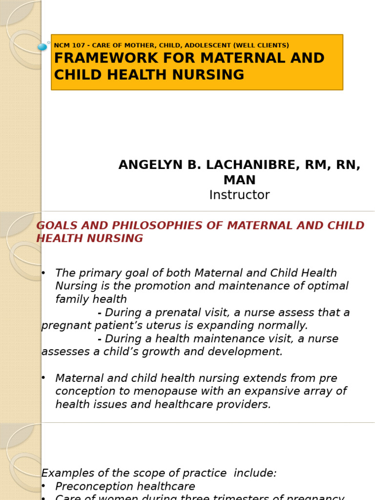 Framework for Maternal and Child Health | PDF | Maternal Health ...