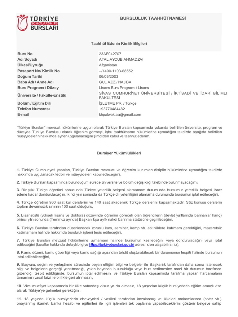 Committal Document | PDF