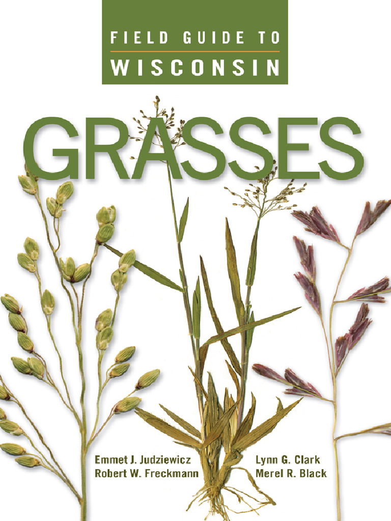 Wisconsin Grasses Field Guide | PDF | Leaf | Flowers