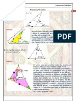 Problemas Resueltos - Tema 1