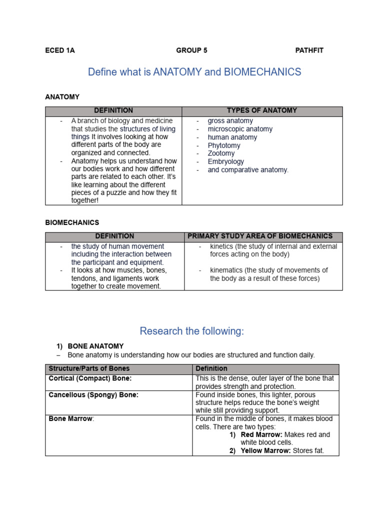 Assignment in P.E. Anatomy | PDF | Muscle | Bone