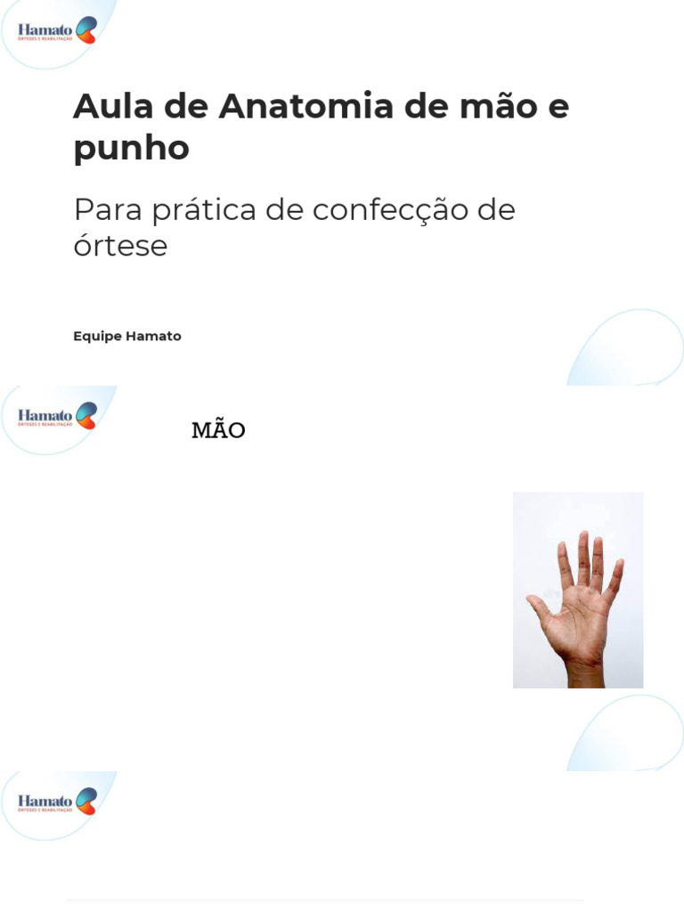 Aula De Anatomia Pdf Sistema Locomotor Membros Anatomia