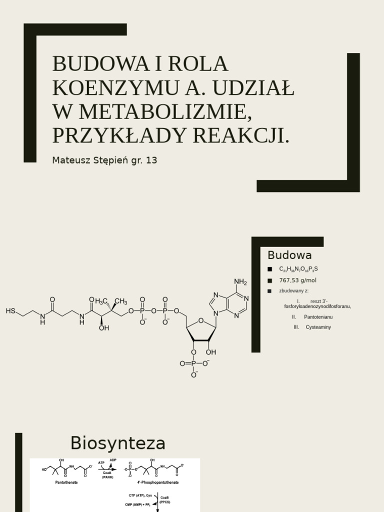 koenzym-a-pdf