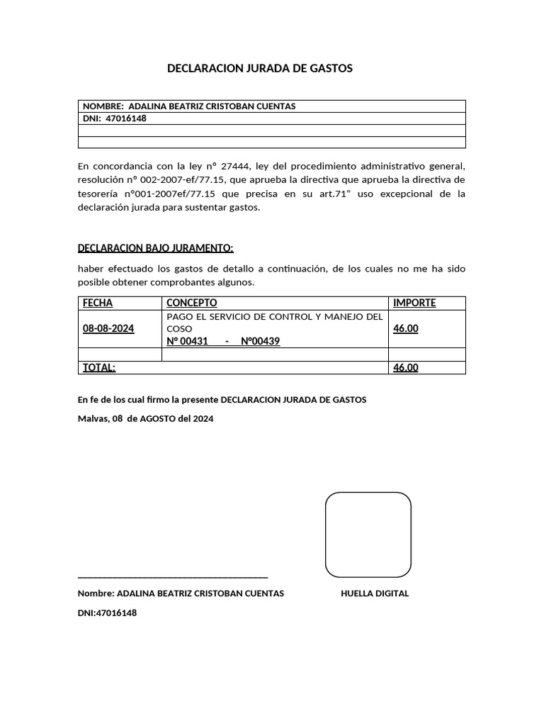 Declaracion Jurada de Gastos | PDF