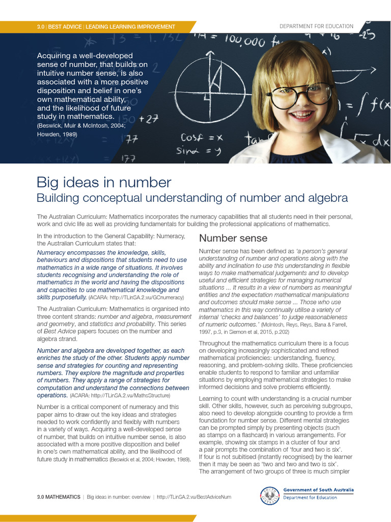 Big Ideas in Number: Overview | PDF | Learning | Mathematics