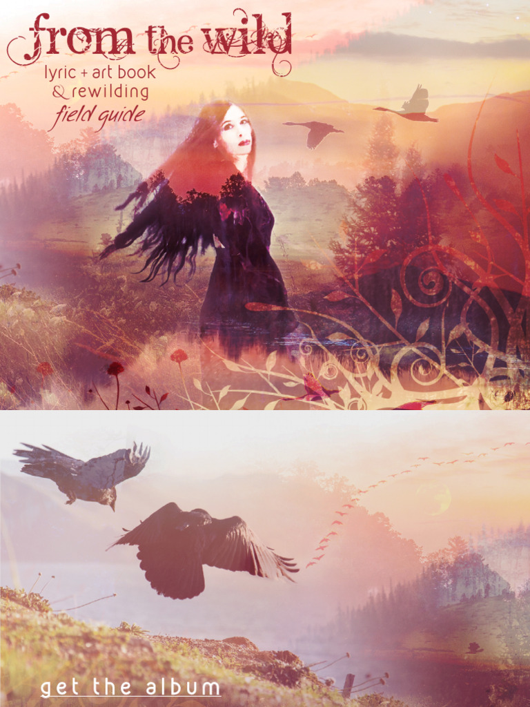 FTW Field Guide | PDF