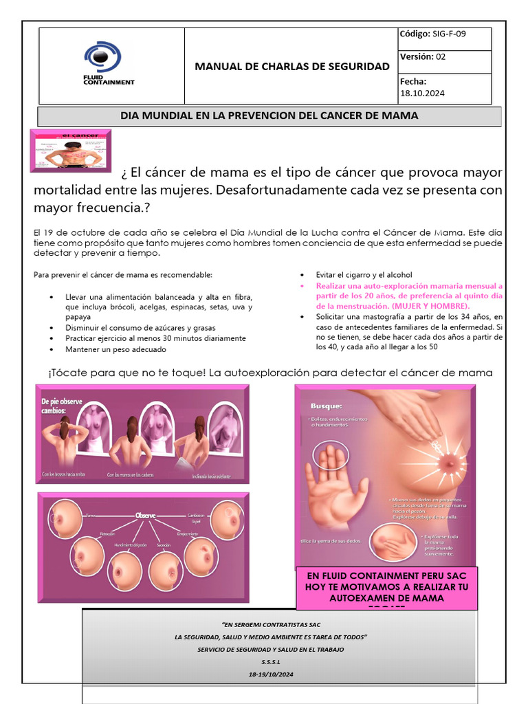 Prevención del Cáncer de Mama 2024 | PDF | Cáncer de mama | Cáncer
