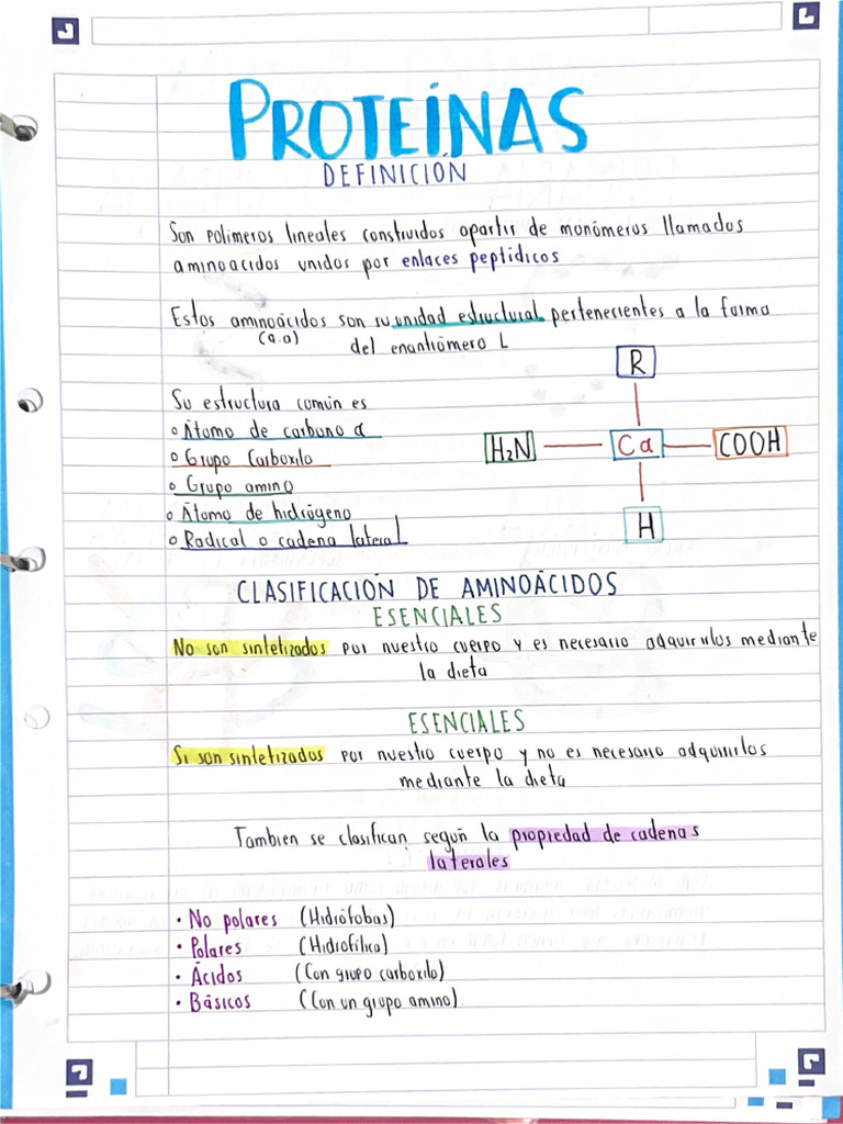 APUNTES | PDF