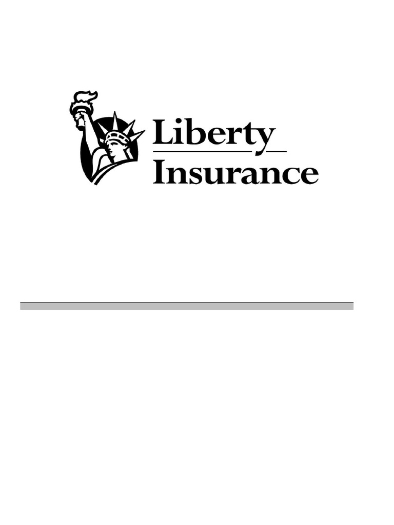 car-policy-en-pdf-liability-insurance-insurance