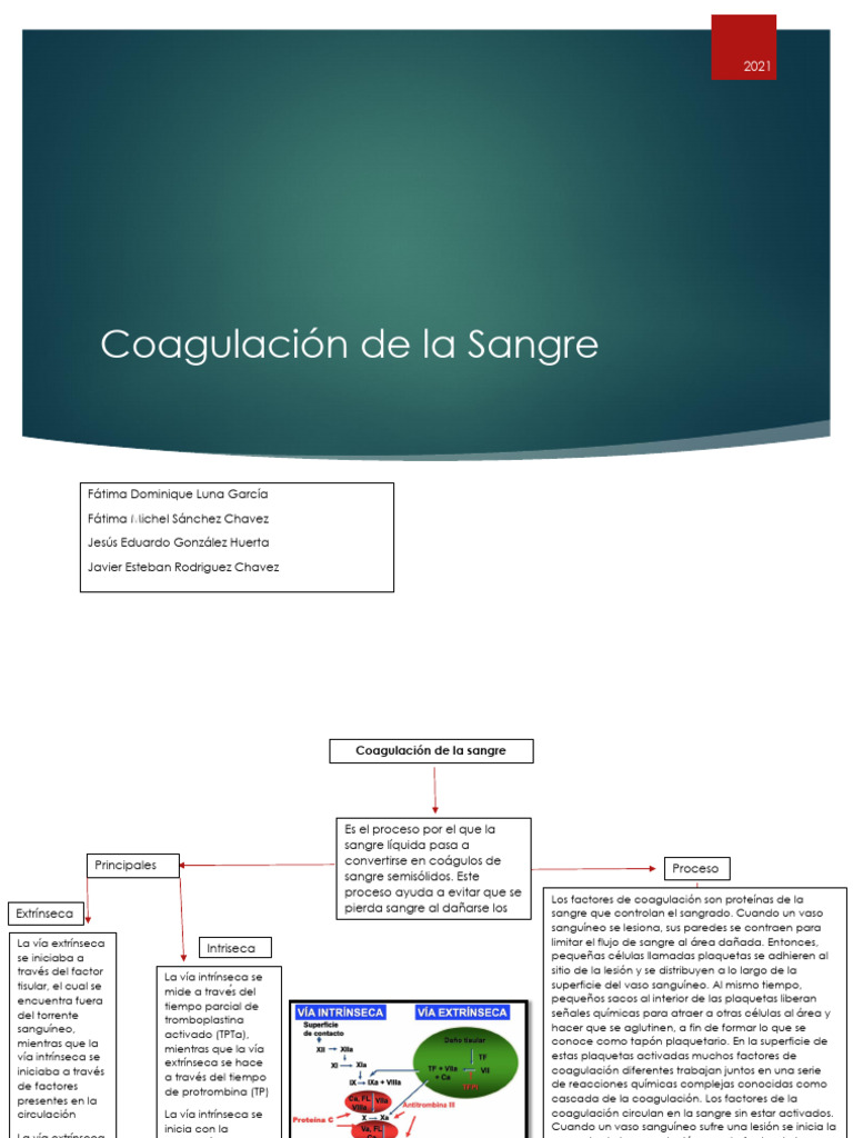 Coagulacion de La Sangre | PDF | Coagulación | Sangre