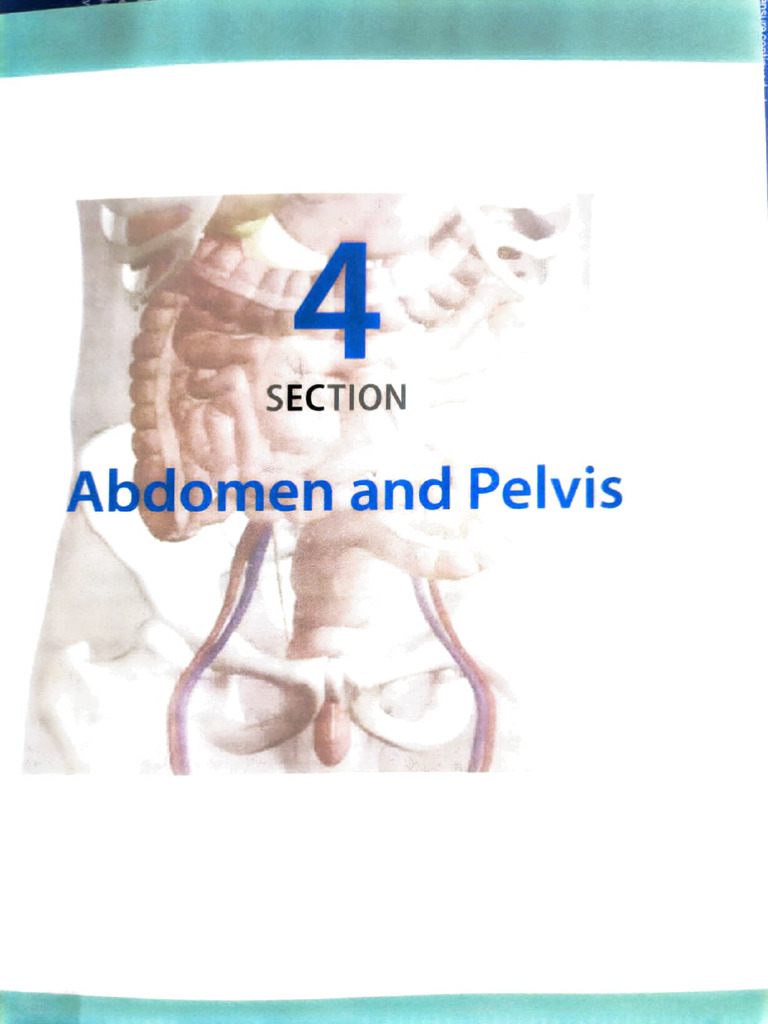 Abdomen and Pelvis Clinical | PDF