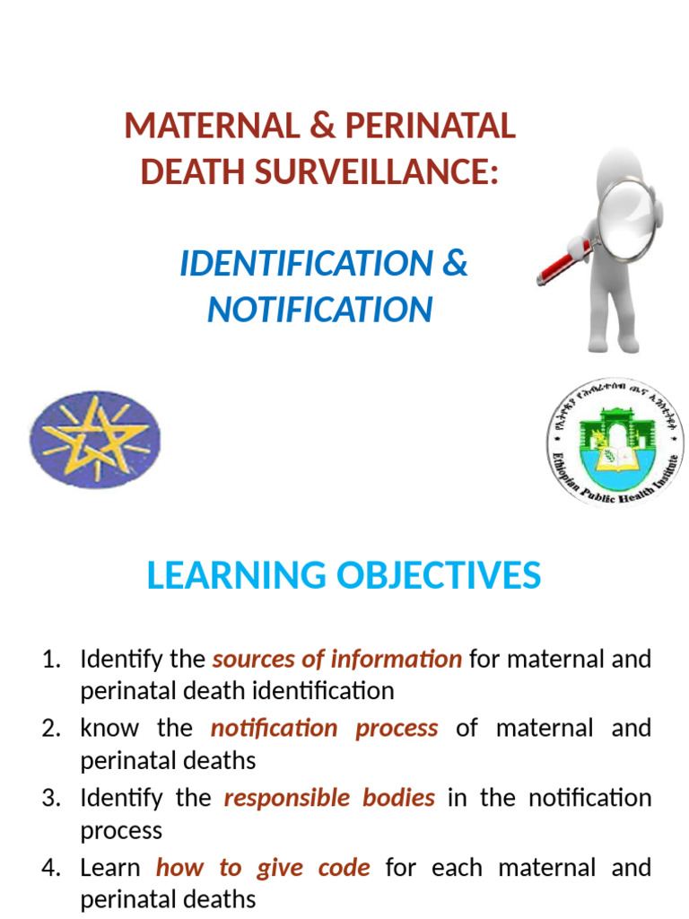 Maternal & Perinatal Death Reporting Guide | PDF | Maternal Death ...