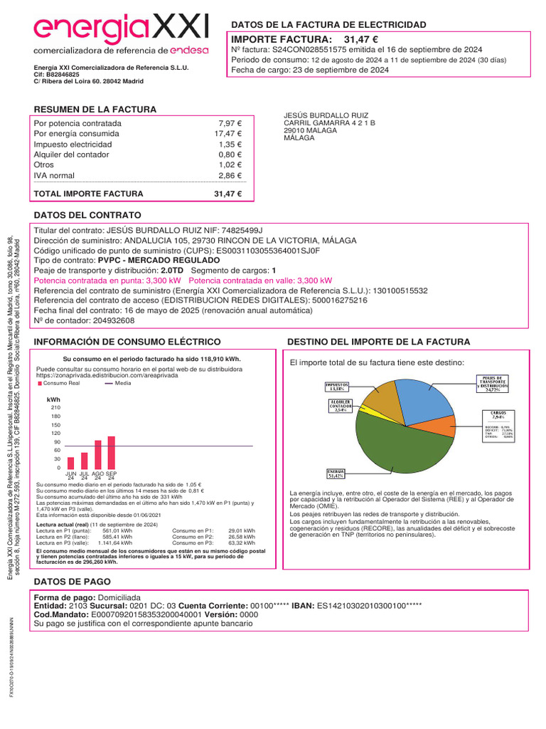 Factura de Electricidad: Resumen y Detalles | PDF | Factura | Economias