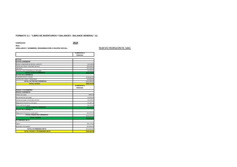 Balance General 2024 de Nuevo Horizonte SAC | PDF