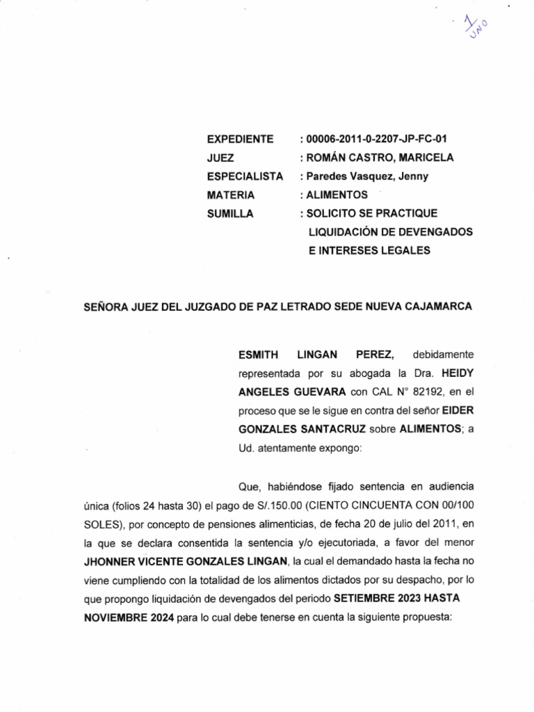 Solicito Se Practique Liquidación de Devengados e Intereses Legales ...