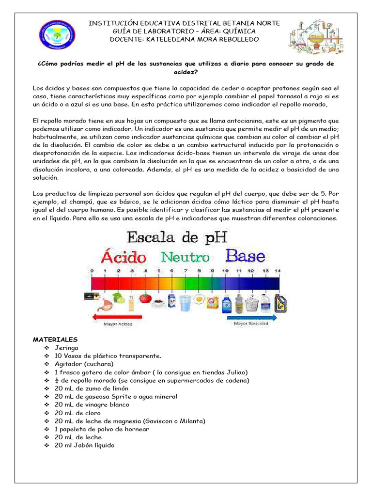 Medición de pH con Repollo Morado | PDF | Ph | Ácido