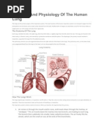 Soal Latihan Tentamen Anatomi Pdf