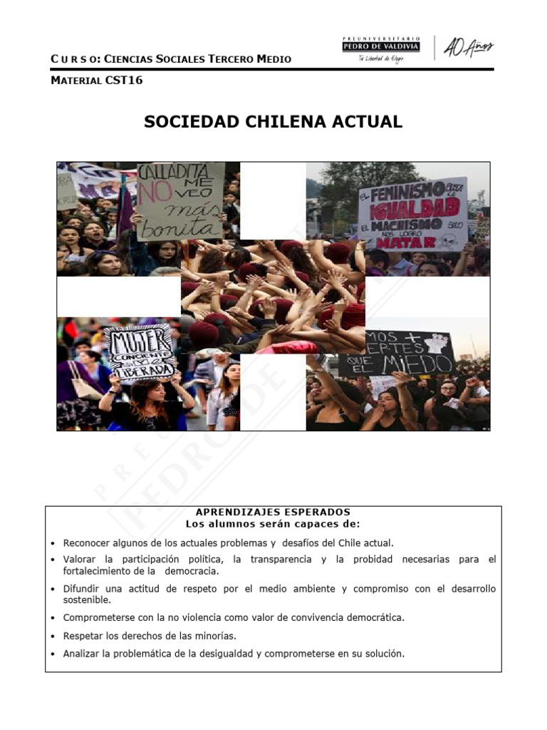 Desafíos de la Democracia en Chile | PDF | Desigualdad social ...