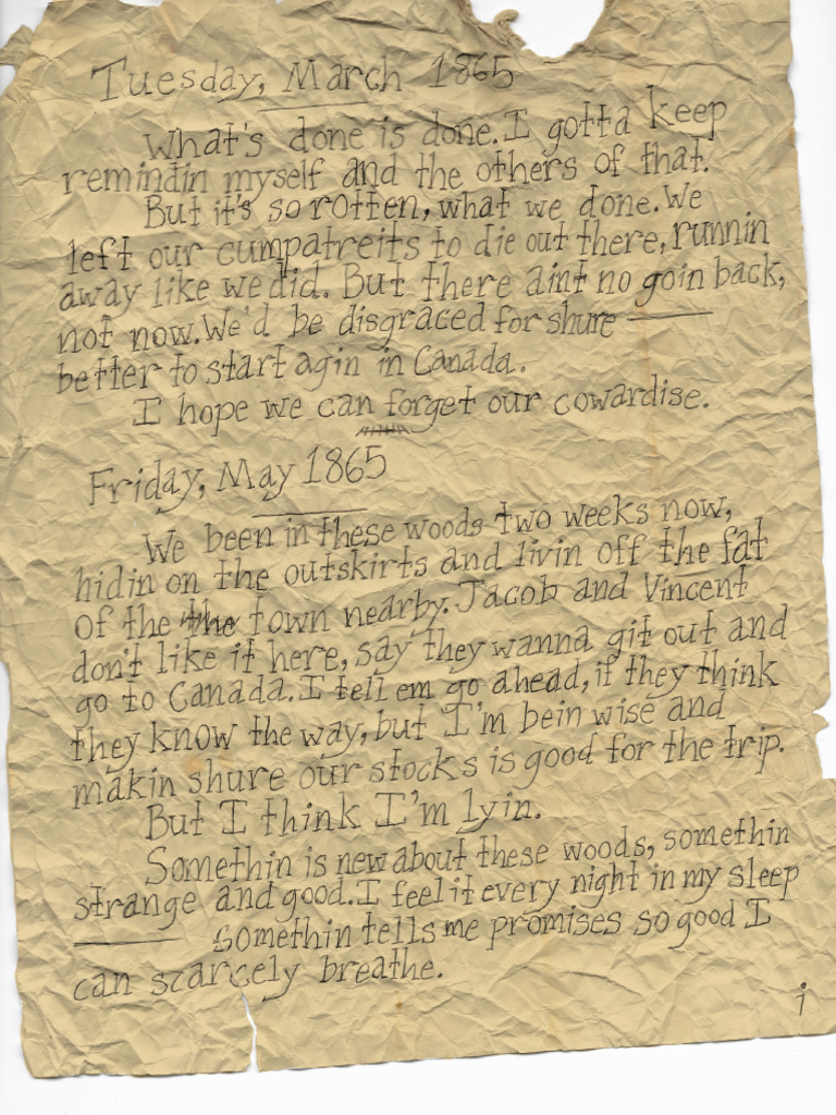 Turner's Diary | PDF