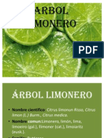 Arbol Limonero